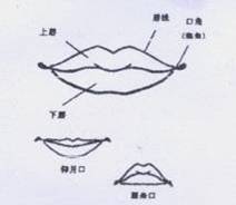 第四官，出纳官（口）