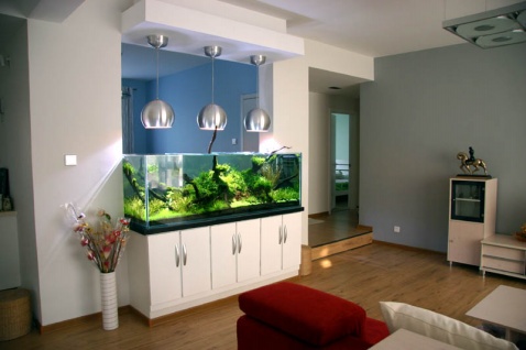 风水问答：在客厅中摆放鱼缸有哪些需要注意的问题？
