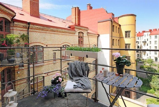 阳台里常见的招财风水植物