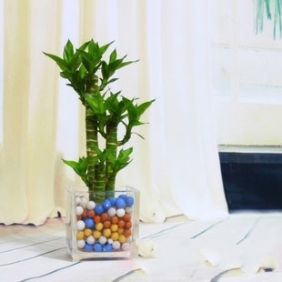 旺财运与旺姻缘的开运风水技巧